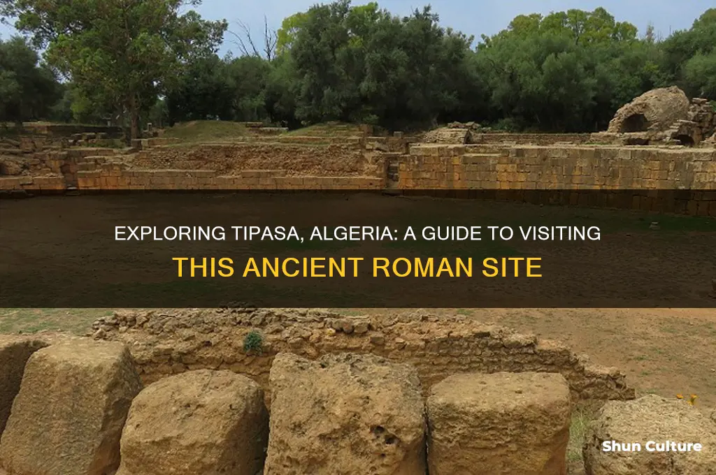 can you visit tipasa algeria