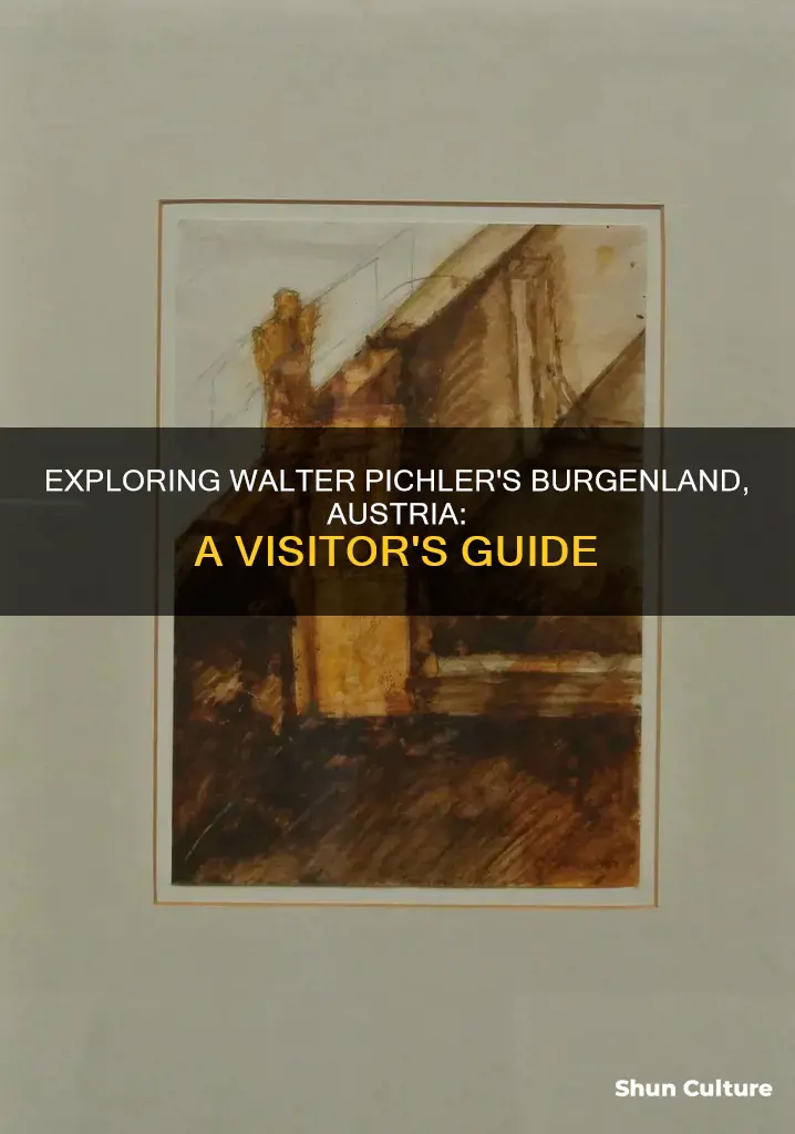 can you visit walter pichler burgenland austria