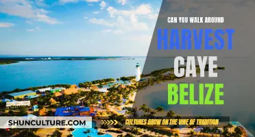 Exploring Harvest Caye, Belize: A Walker's Paradise