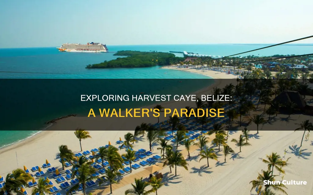 can you walk around harvest caye belize