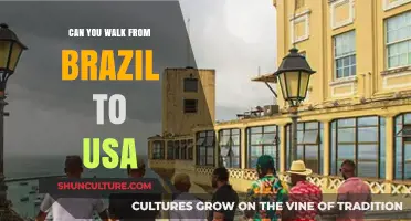 Exploring the Feasibility of Walking from Brazil to the USA