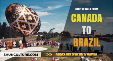 Exploring the Feasibility of Walking from Canada to Brazil