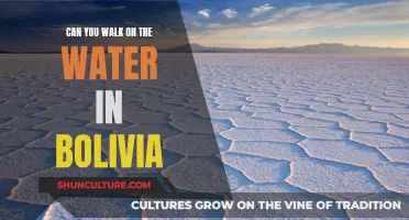 Walking on Water: Bolivia's Magical Attraction