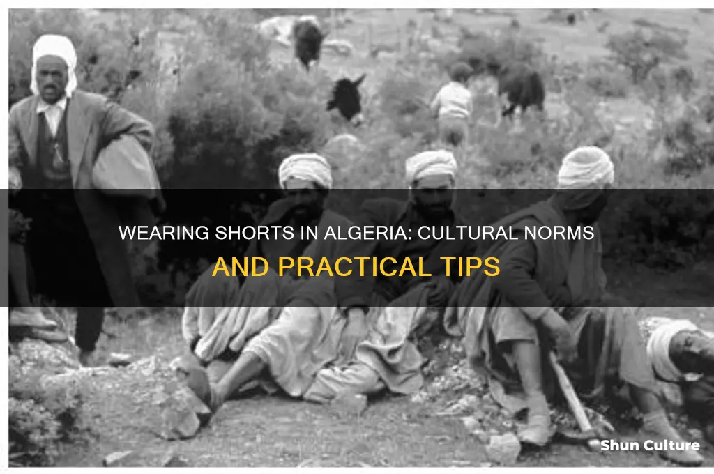 can you wear shorts in algeria