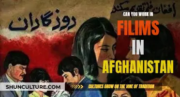 The Silver Screen's Afghan Aspirants: Working in Films Amidst Cultural Complexities