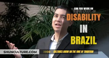 Working with a Disability in Brazil: Opportunities, Challenges, and Rights
