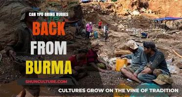 Unearthing Treasures: The Journey of Bringing Rubies Back from Burma