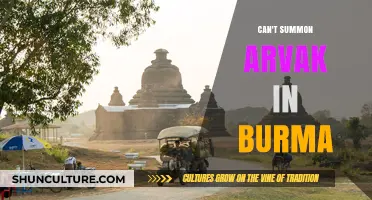 Unearthing the Mystery: Why Arvak Remains Elusive in Burma