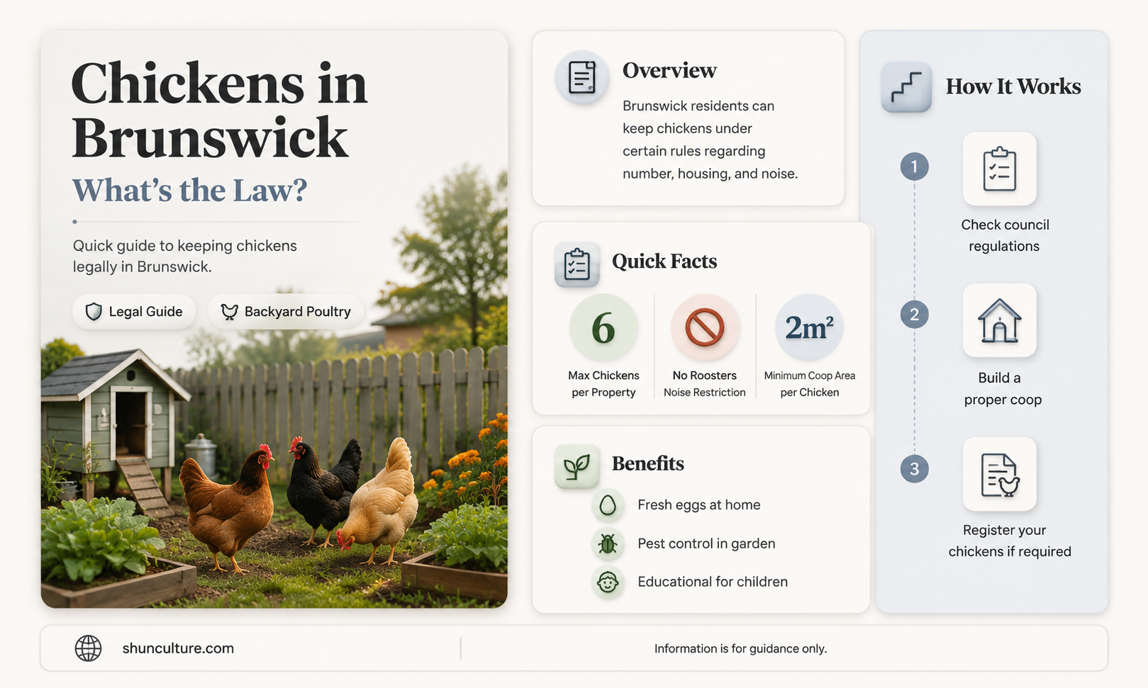are chickens allowed in brunswick ohio