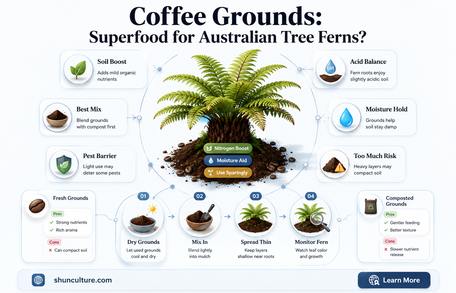 are coffee grounds good for australian tree ferns