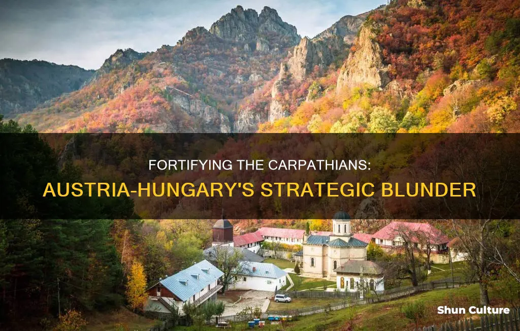 could austria hungary have fortified the carpathians