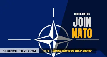 Austria's NATO Future: What's the Reality?