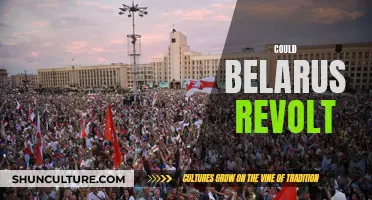 Belarus Revolt: A Possibility or Distant Dream?