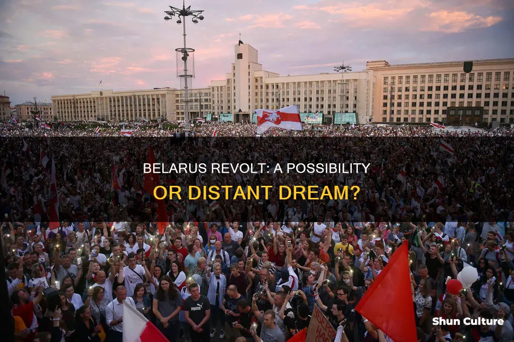 could belarus revolt