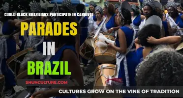 Black Brazilians' Role and Inclusion in Brazil's Carnival Parades