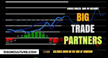 Brazil and the US: A Potential Trade Partnership Boom?