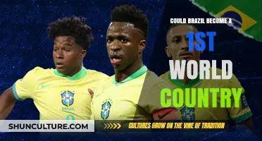 Brazil's Path to First World Status: Challenges and Opportunities
