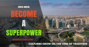 Brazil's Rise: Potential Superpower or Regional Leader?