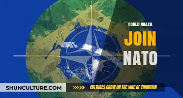 Could Brazil Join NATO? Exploring Geopolitical Implications and Possibilities