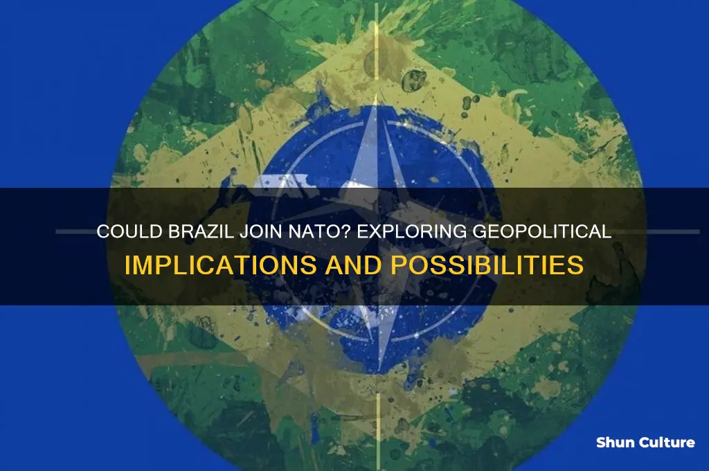 could brazil join nato