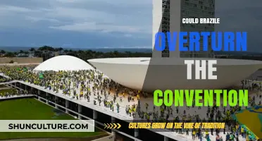 Could Brazil Overturn Its Convention? Legal and Political Implications Explored