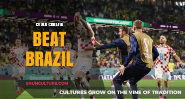Croatia vs. Brazil: Can the Underdogs Upset the Tournament Favorites?