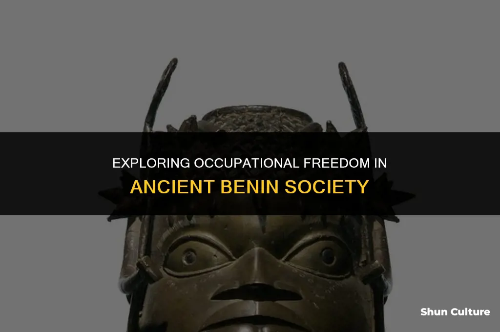 could people choose their jobs in ancient benin society