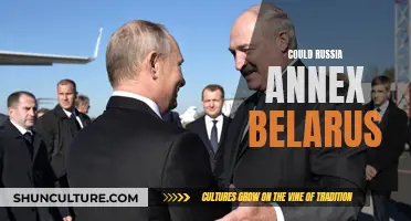 Russia's Belarus Annexation: What's Next?