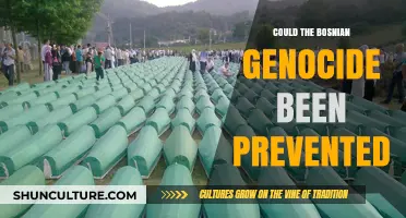 Preventing the Bosnian Genocide: Lessons from History's Failures and Warnings