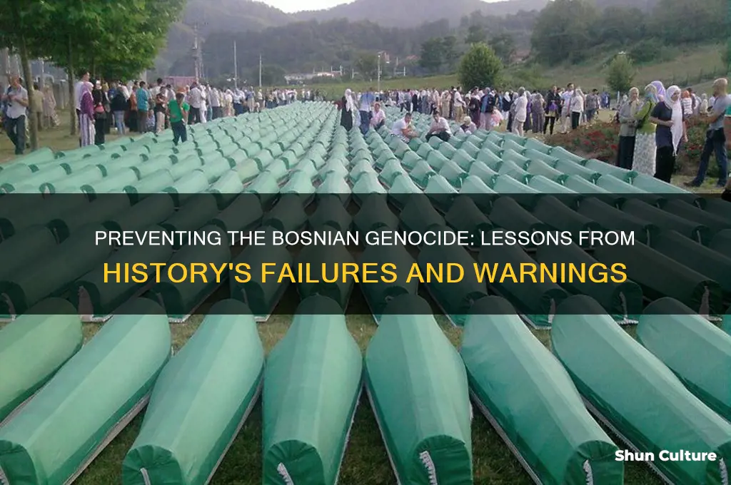could the bosnian genocide been prevented