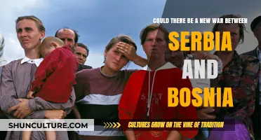 Rising Tensions: Serbia and Bosnia on the Brink of Conflict?