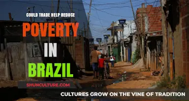 Trade's Role in Alleviating Poverty: Brazil's Economic Potential Explored