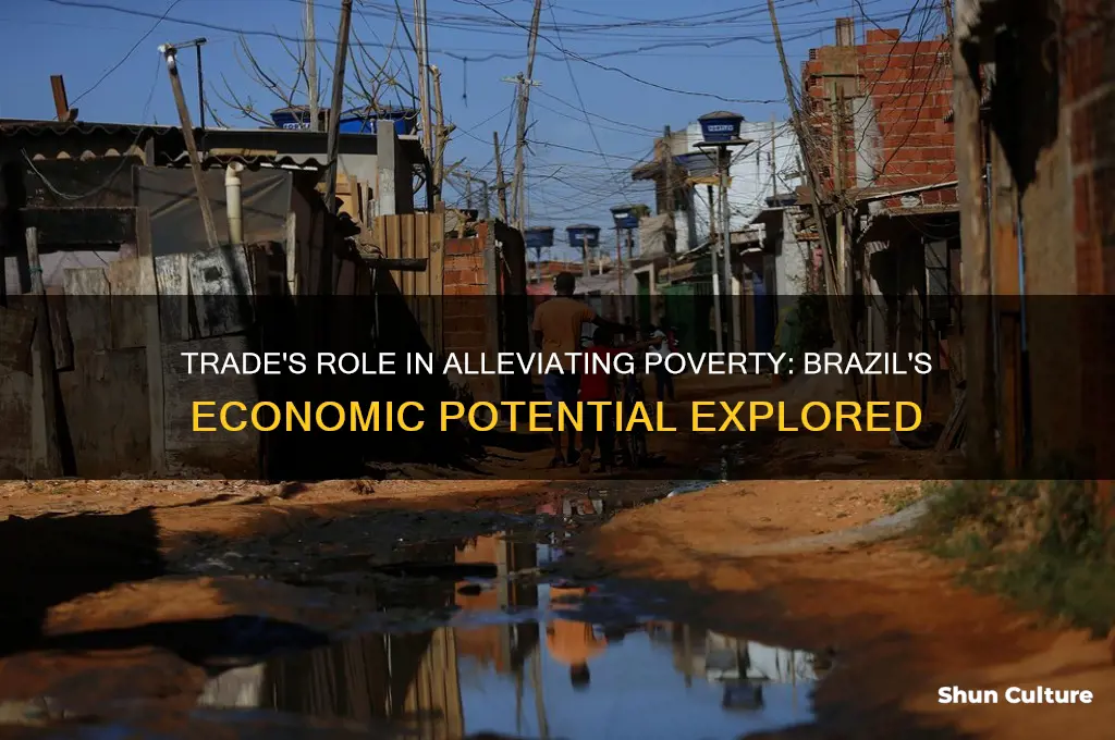 could trade help reduce poverty in brazil