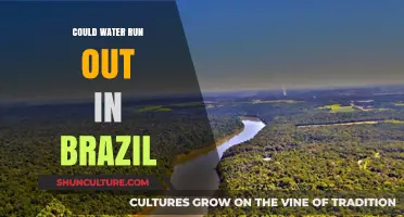 Brazil's Water Crisis: Could the Country's Supply Run Dry?