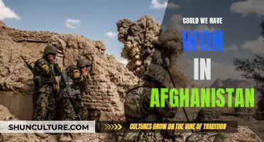 The Afghan Conundrum: Examining the Possibility of Victory