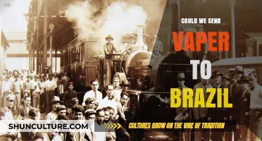 Exploring the Feasibility of Sending Vapor to Brazil: Challenges and Possibilities