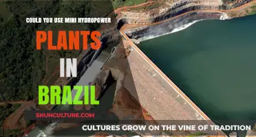 Mini Hydropower Potential in Brazil: A Sustainable Energy Solution?
