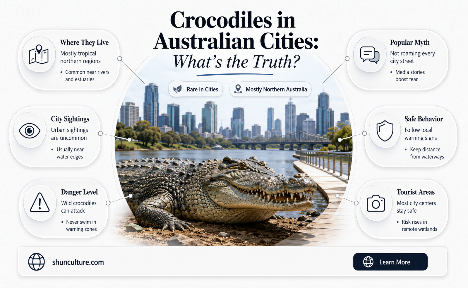 are crocodiles found in the big cities of australia