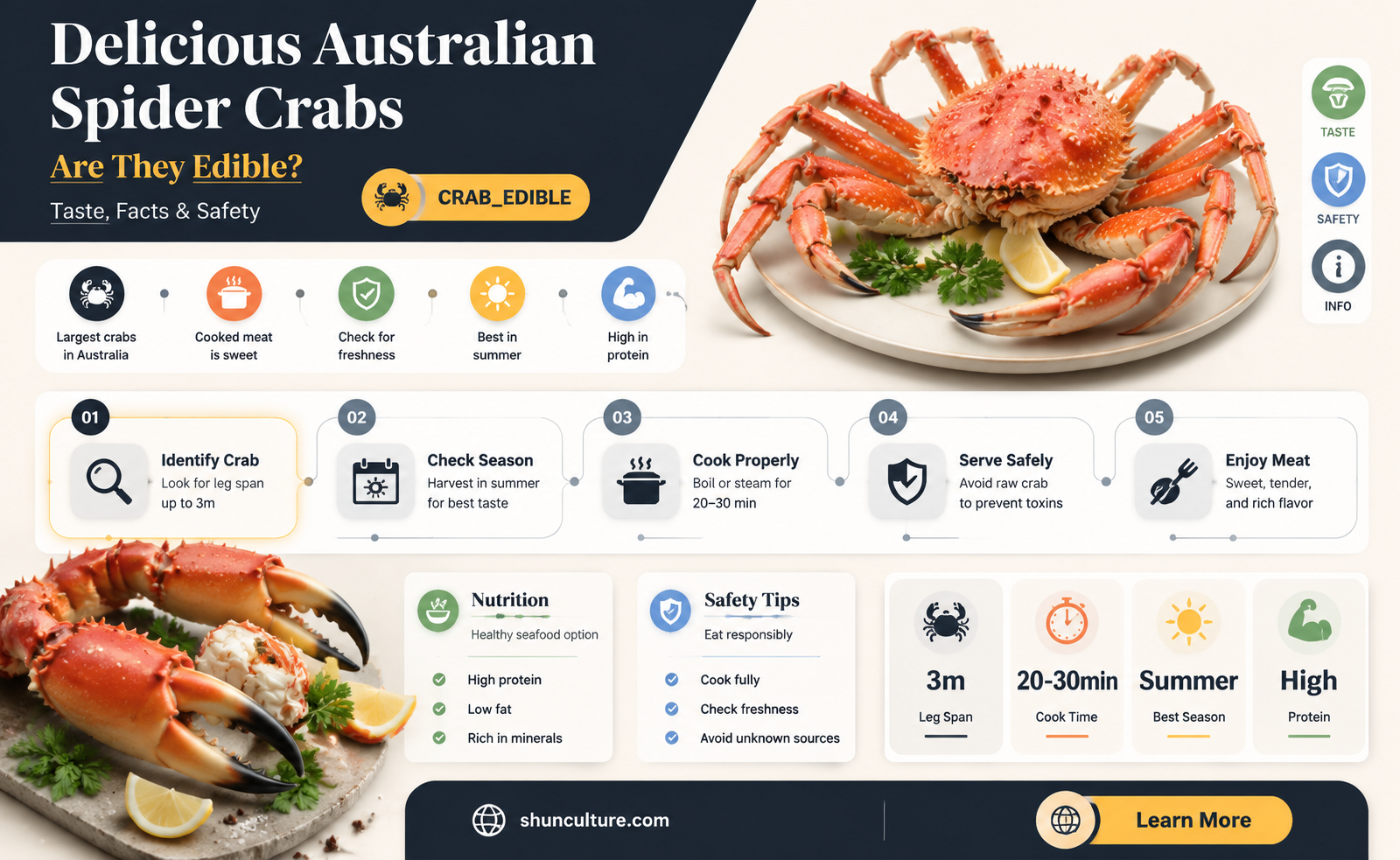are australian spider crabs good to eat