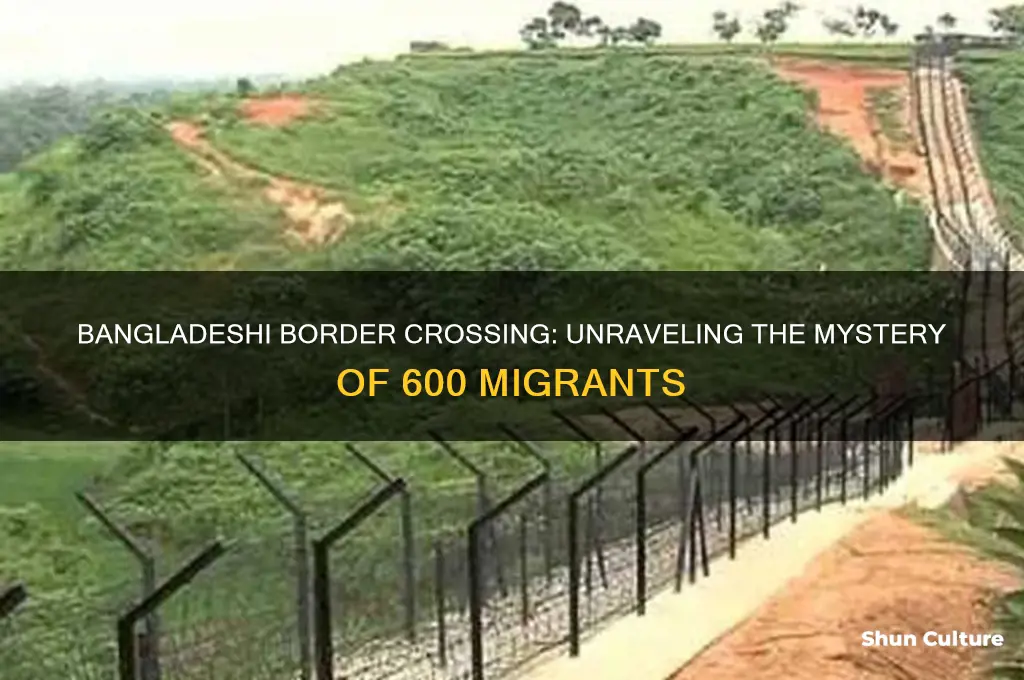 did 600 bangladeshees cross the border