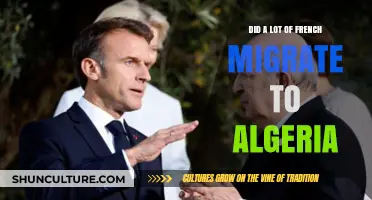 French Migration to Algeria: A Historical Overview of Population Shifts