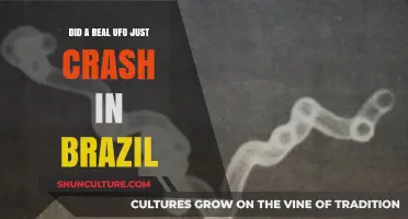 Real UFO Crash in Brazil: Fact or Fiction?