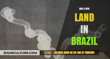 Did a UFO Land in Brazil? Unraveling the Mystery