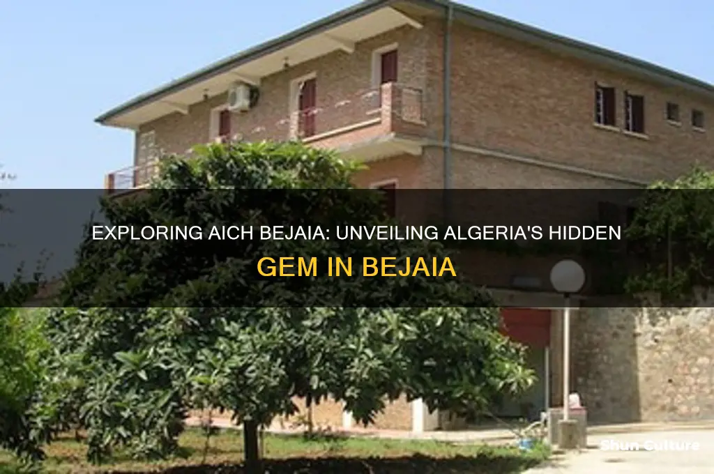 did aich bejaia algeria bejaia