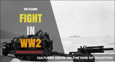 Algeria's Role in World War II: Uncovering a Forgotten History
