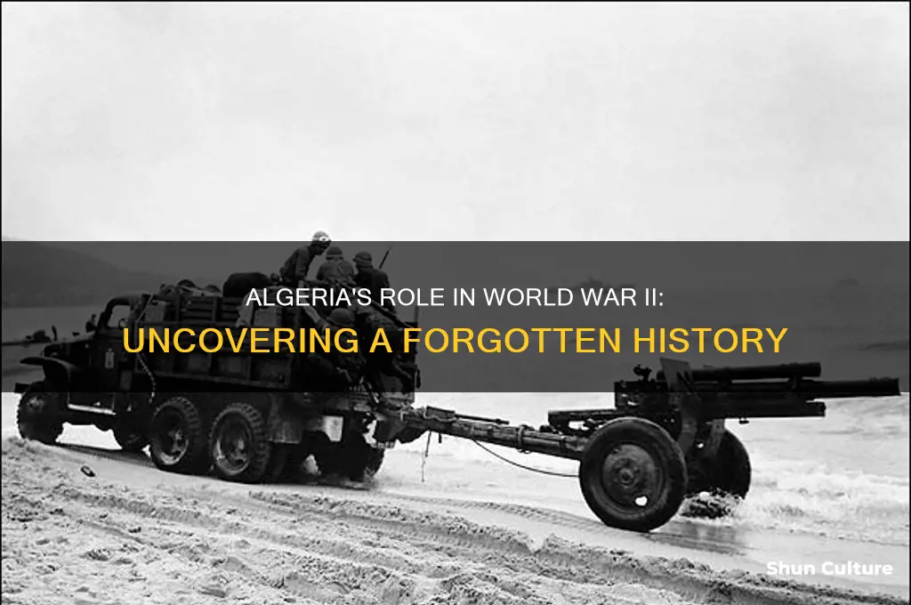 did algeria fight in ww2