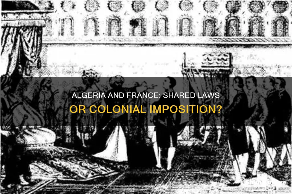 did algeria have the same laws as france