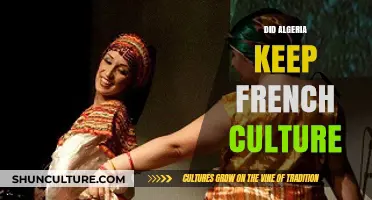 Algeria's Cultural Legacy: French Influence Post-Independence Explored