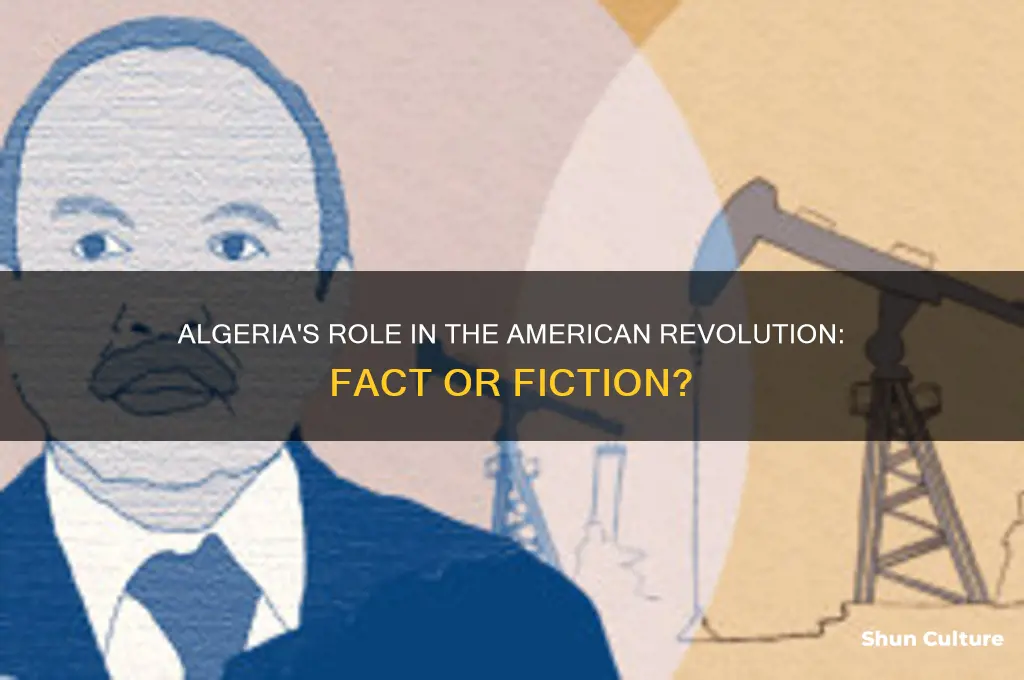 did algeria participate in the american revolution