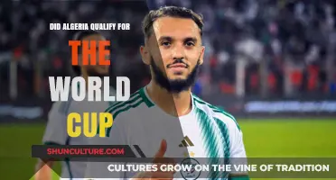 Algeria's World Cup Qualification Journey: Did They Make It?